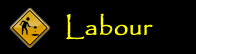 Labour